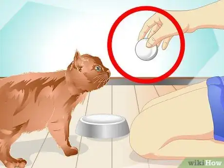 Image titled Teach a Cat to "High Five" Step 15